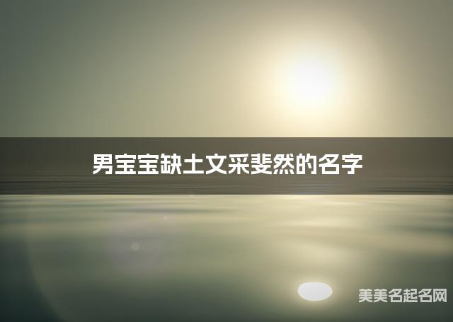 男宝宝缺土文采斐然的名字 有创意的宝宝名字大全