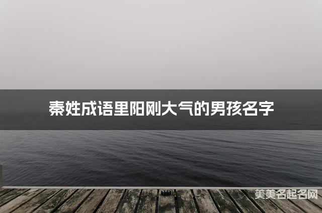 秦姓成语里阳刚大气的男孩名字