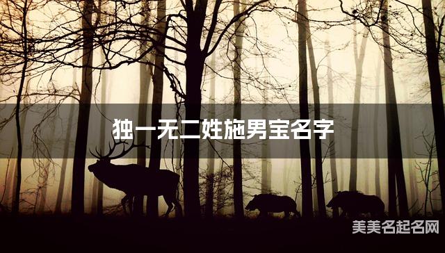 独一无二姓施男宝名字