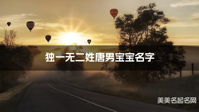 独一无二姓唐男宝宝名字