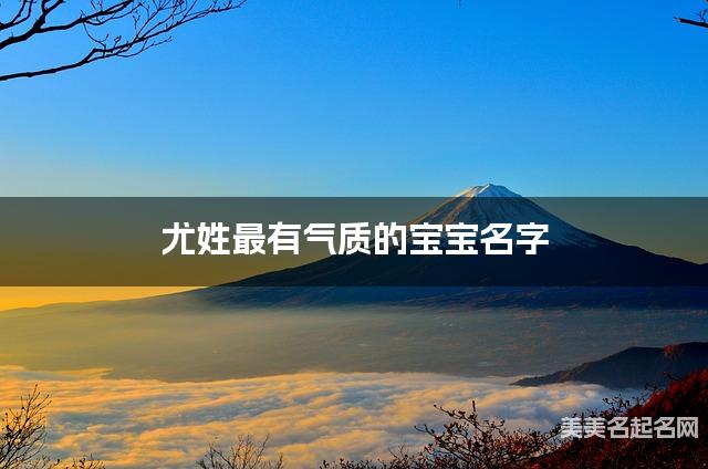 尤姓最有气质的宝宝名字