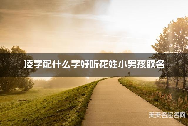 凌字配什么字好听花姓小男孩取名