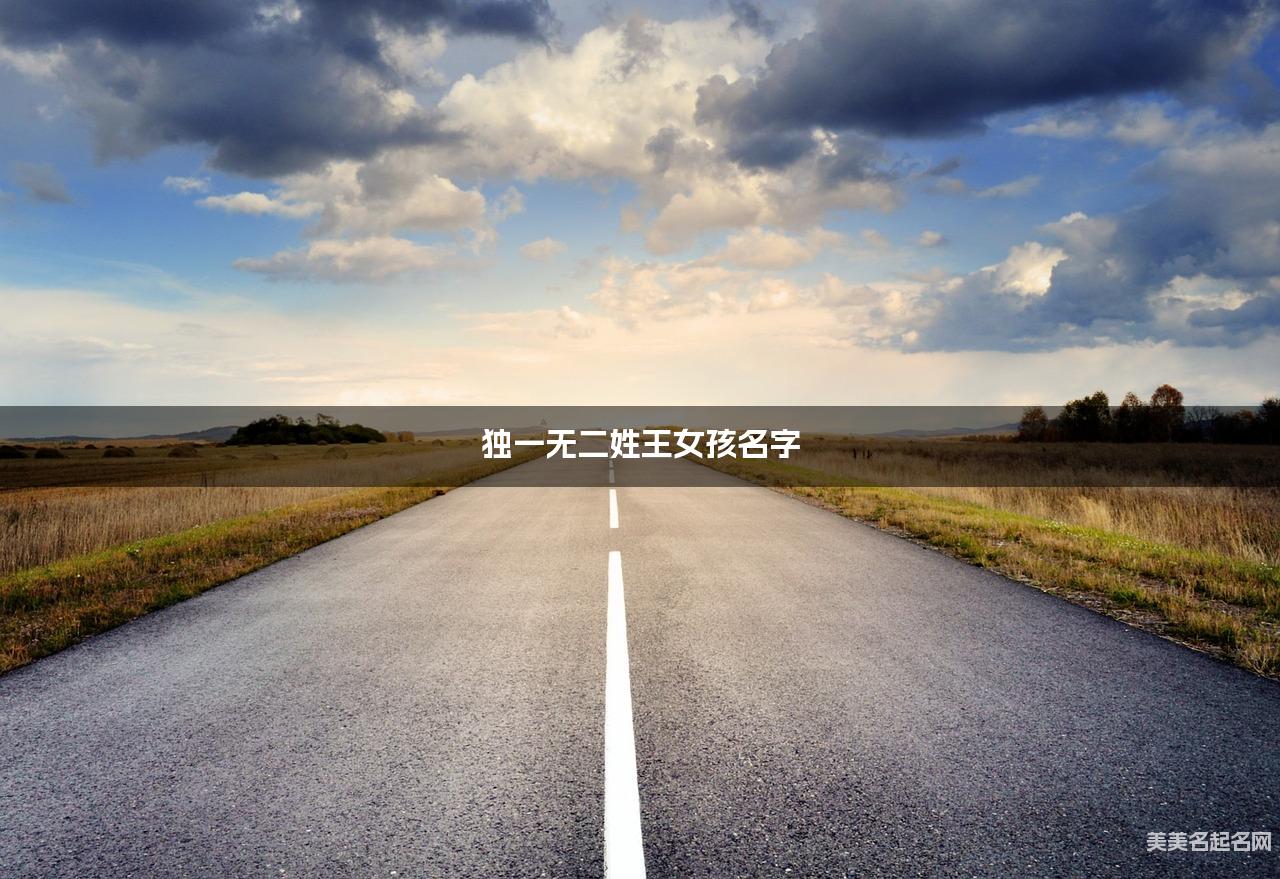 独一无二姓王女孩名字