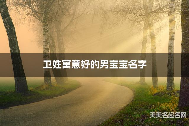 卫姓寓意好的男宝宝名字（精选200个）