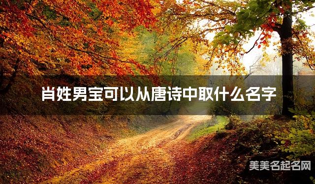 肖姓男宝可以从唐诗中取什么名字