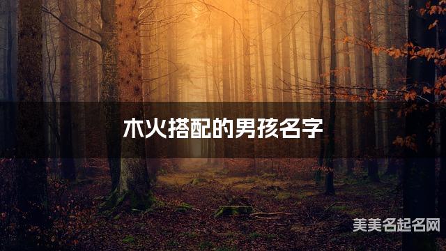 木火搭配的男孩名字 男孩惊艳的名字