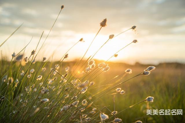 严姓有哲理诗意的宝宝名字100分