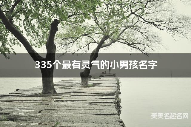 335个最有灵气的小男孩名字 宝宝免费取名大全
