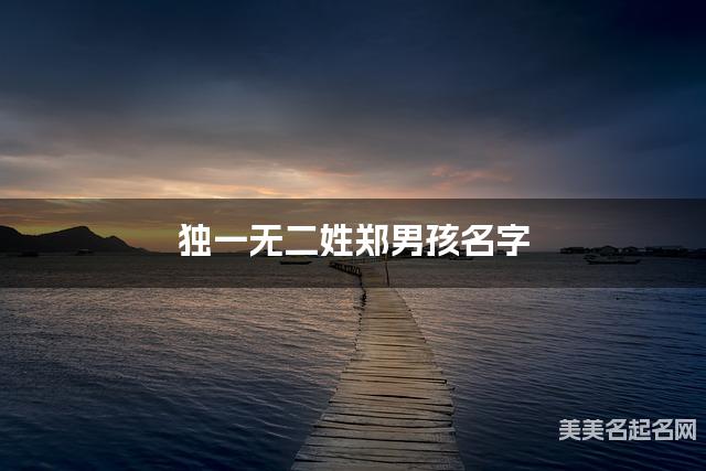 独一无二姓郑男孩名字