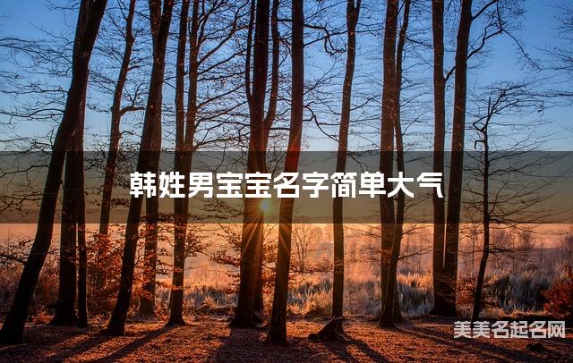 韩姓男宝宝名字简单大气