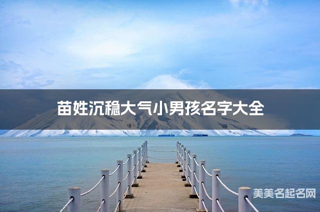 苗姓沉稳大气小男孩名字大全