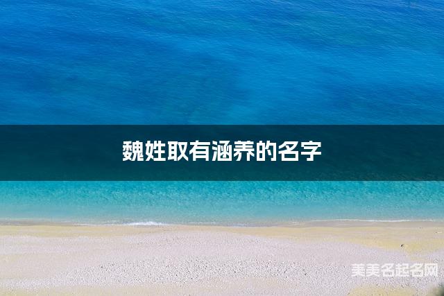 魏姓取有涵养的名字，魏姓男宝宝高端名字