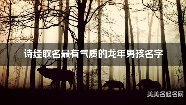 诗经取名最有气质的龙年男孩名字
