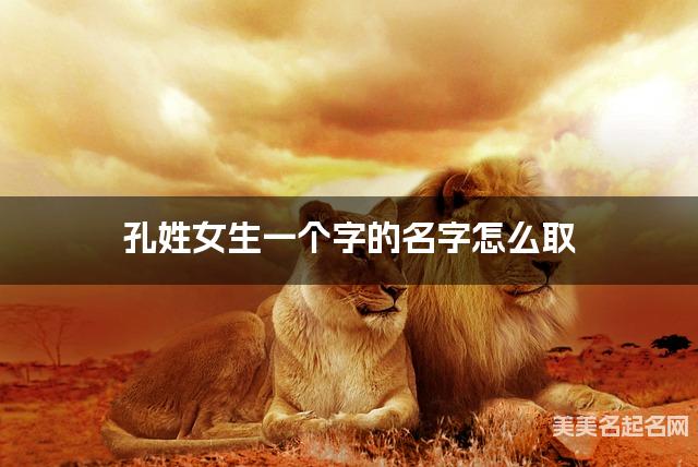 孔姓女生一个字的名字怎么取 有含义的宝宝单字名大全