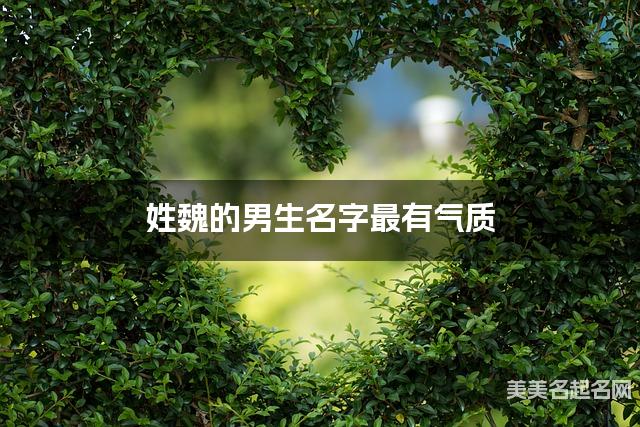 姓魏的男生名字最有气质