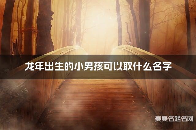 龙年出生的小男孩可以取什么名字（有灵气）