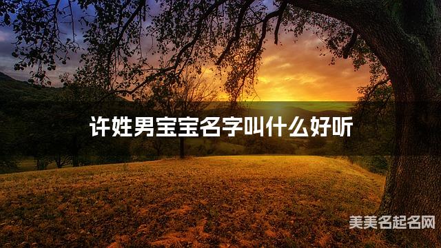 许姓男宝宝名字叫什么好听