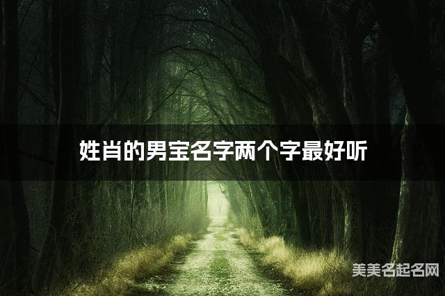 姓肖的男宝名字两个字最好听