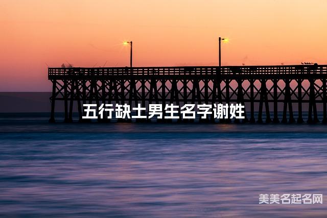 五行缺土男生名字谢姓 有寓意的宝宝名字大全