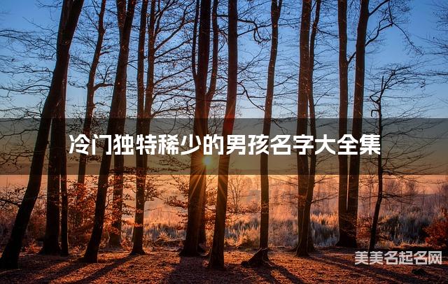 冷门独特稀少的男孩名字大全集 有中国文化特色的名字