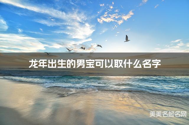 龙年出生的男宝可以取什么名字（有气质）
