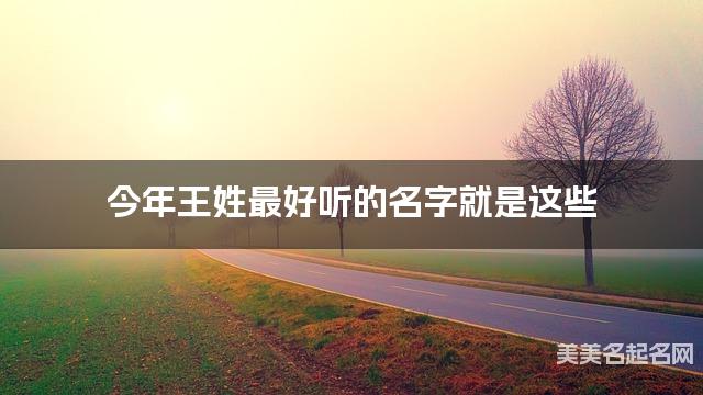 今年王姓最好听的名字就是这些，都是适合今年出生的男宝名字