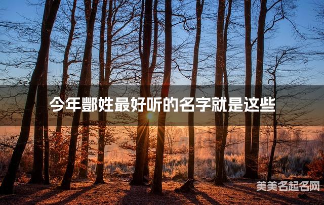 今年酆姓最好听的名字就是这些，都是适合今年出生的小男孩名字