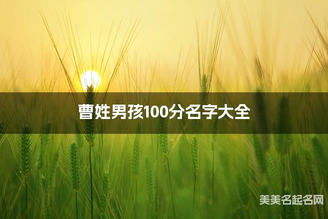 曹姓男孩100分名字大全