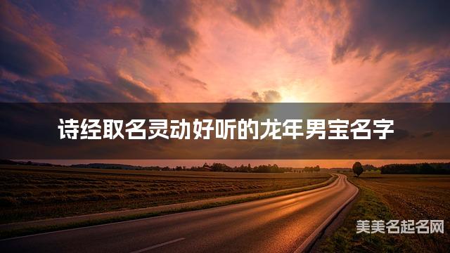 诗经取名灵动好听的龙年男宝名字