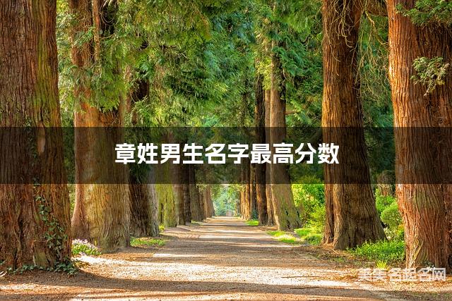 章姓男生名字最高分数