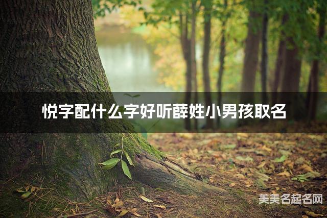 悦字配什么字好听薛姓小男孩取名
