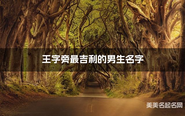 王字旁最吉利的男生名字 戚姓王字旁取名最有福气