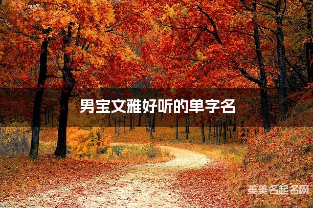 男宝文雅好听的单字名  有涵养的宝宝单字名大全