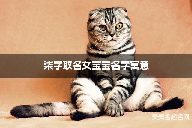 柒字取名女宝宝名字寓意 120个搭配最好的带柒字名字