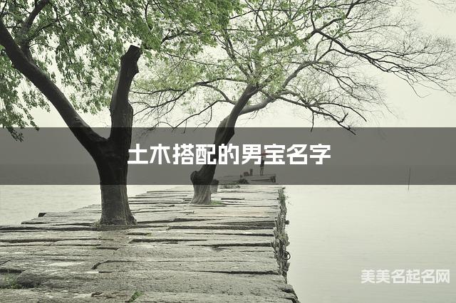土木搭配的男宝名字 男宝有寓意的名字