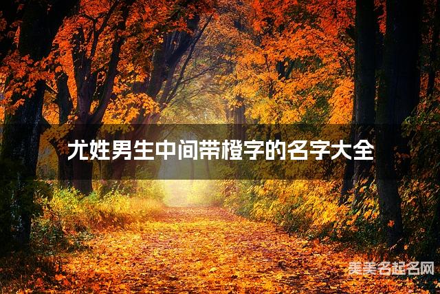 尤姓男生中间带橙字的名字大全