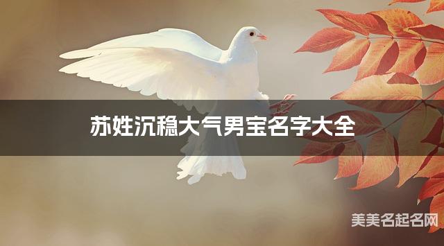 苏姓沉稳大气男宝名字大全