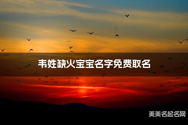 韦姓缺火宝宝名字免费取名 有涵养的宝宝名字大全