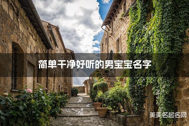 简单干净好听的男宝宝名字（406个最新）