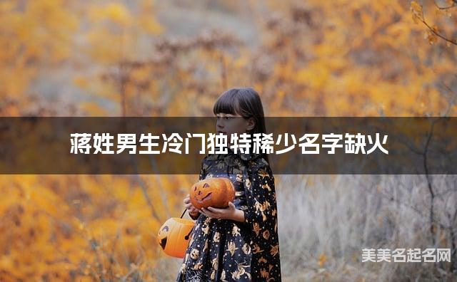 蒋姓男生冷门独特稀少名字缺火 有新意的宝宝名字大全