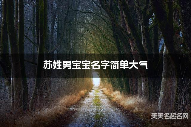 苏姓男宝宝名字简单大气