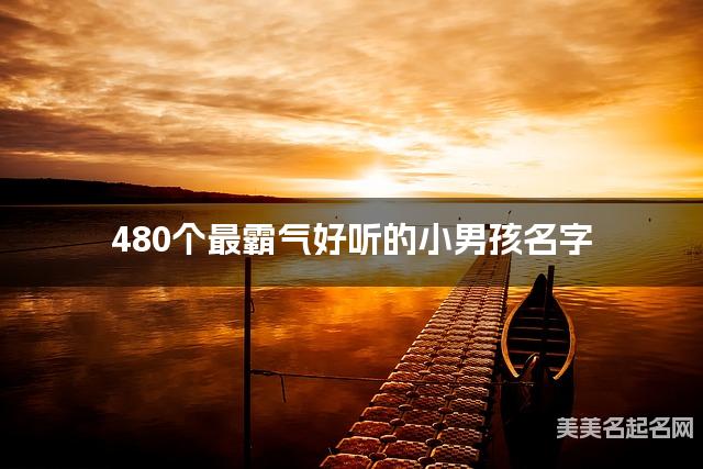 480个最霸气好听的小男孩名字