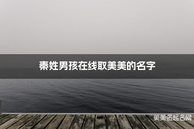 秦姓男孩在线取美美的名字