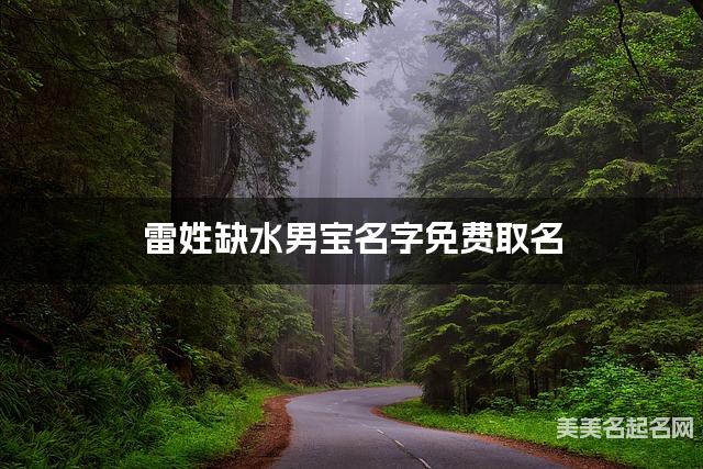 雷姓缺水男宝名字免费取名 有含义的宝宝名字大全
