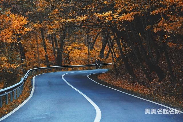 2024龙宝宝冷门独特稀少名字大全  有灵气的宝宝名字大全