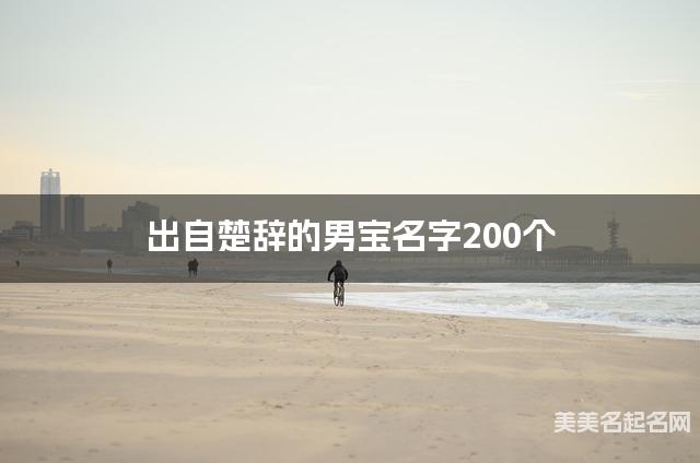 出自楚辞的男宝名字200个