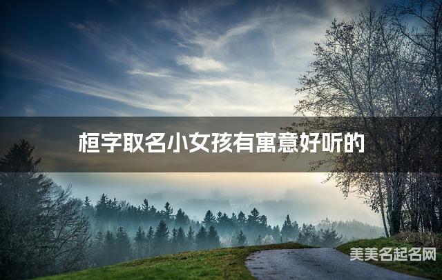 桓字取名小女孩有寓意好听的