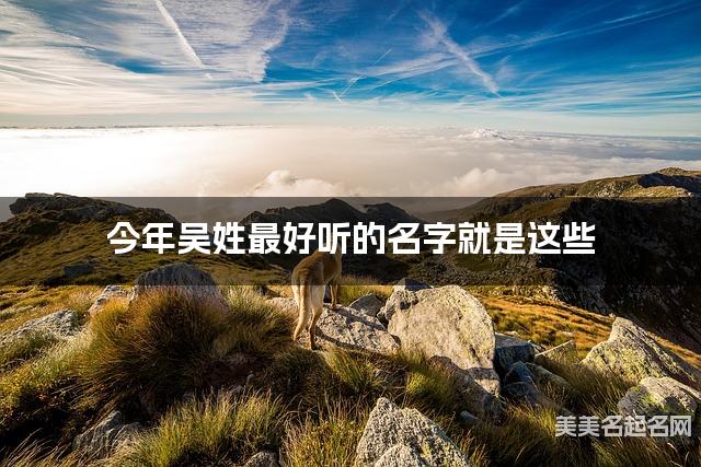 今年吴姓最好听的名字就是这些，都是适合今年出生的男孩名字