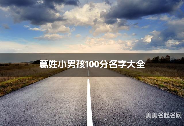 葛姓小男孩100分名字大全