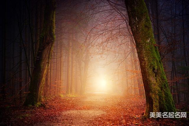 龙年宜用字:格局大气的龙年男宝名字大全